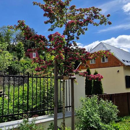Siglisberg Villa บันสกา ชีอาว์นีซา ภายนอก รูปภาพ